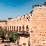 Conservation and restoration